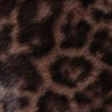 LEONA Coat